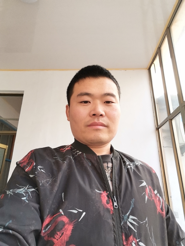 会飞的猪的第一张照片--淄博基督教相亲网